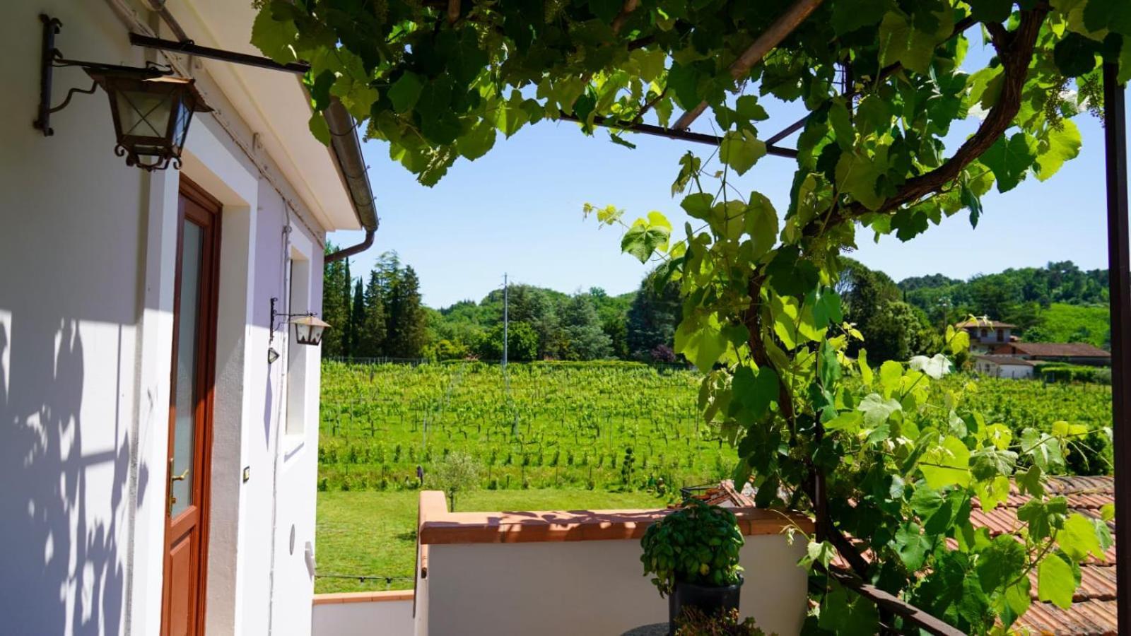 Wine House Bed & Breakfast Capannori Exterior photo