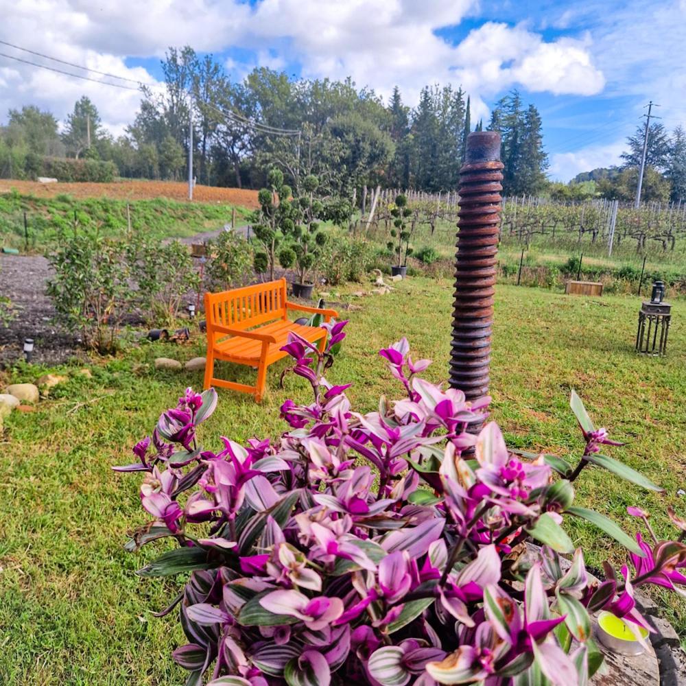 Wine House Bed & Breakfast Capannori Exterior photo