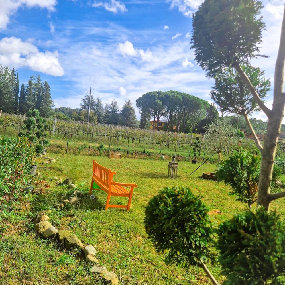 Wine House Bed & Breakfast Capannori Exterior photo