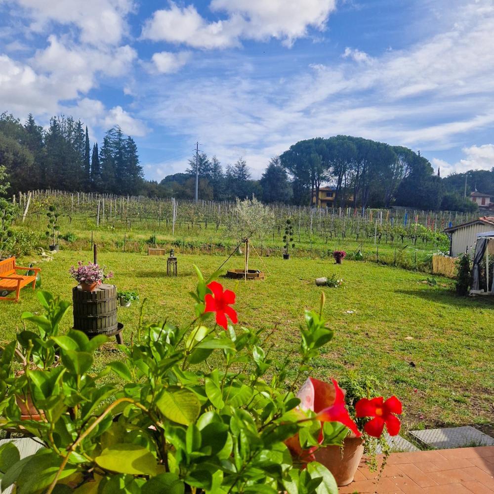 Wine House Bed & Breakfast Capannori Exterior photo