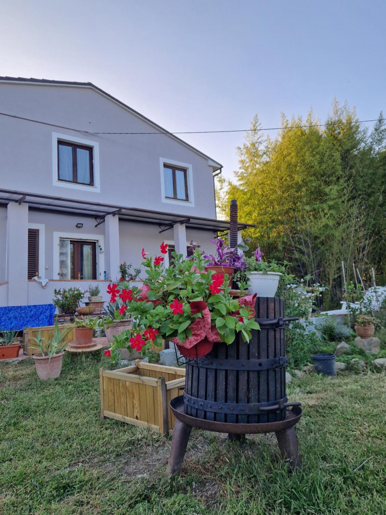 Wine House Bed & Breakfast Capannori Exterior photo